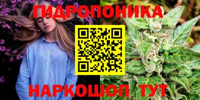 стафф Чапаевск