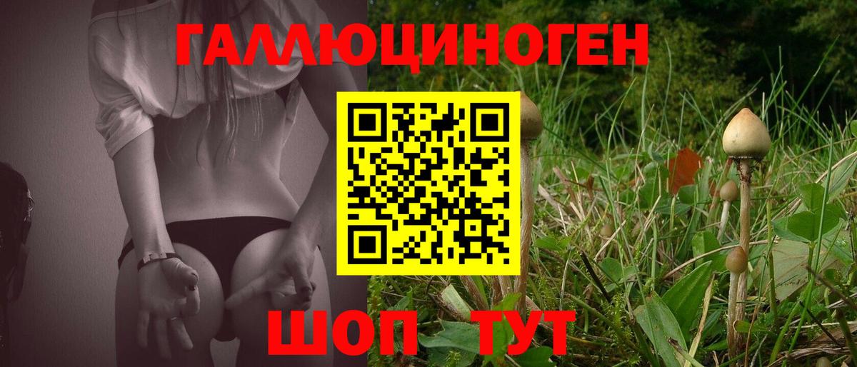 Альметьевск  Галлюциногенные грибы Cubensis  Вход с VPN  Псилоцибиновые грибы прущие грибы 