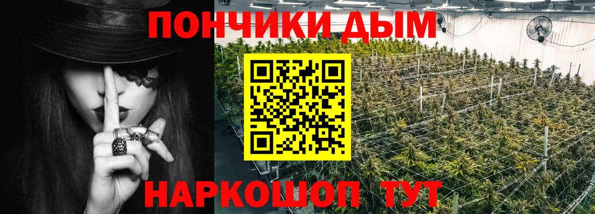 Бошки Шишки THC 21% Альметьевск